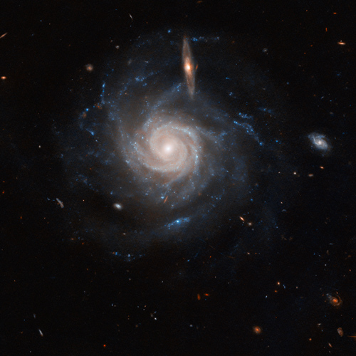 La galassia a spirale Messier 101 ripresa dal telescopio spaziale Hubble
The spiral galaxy Messier 101 taken from the Hubble space telescope
©NASA, ESA, CXC, SSC, e STScI