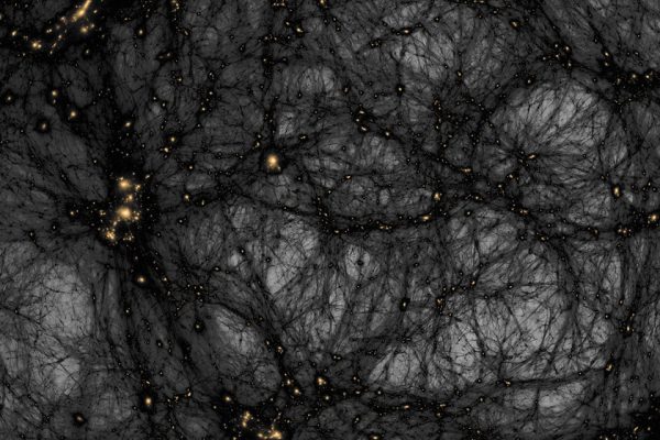 Simulazione della mappa della materia oscura 
| Dark matter map simulation
| ©Tom Abel e Ralf Kaehler ( KIPAC , SLAC ), AMNH